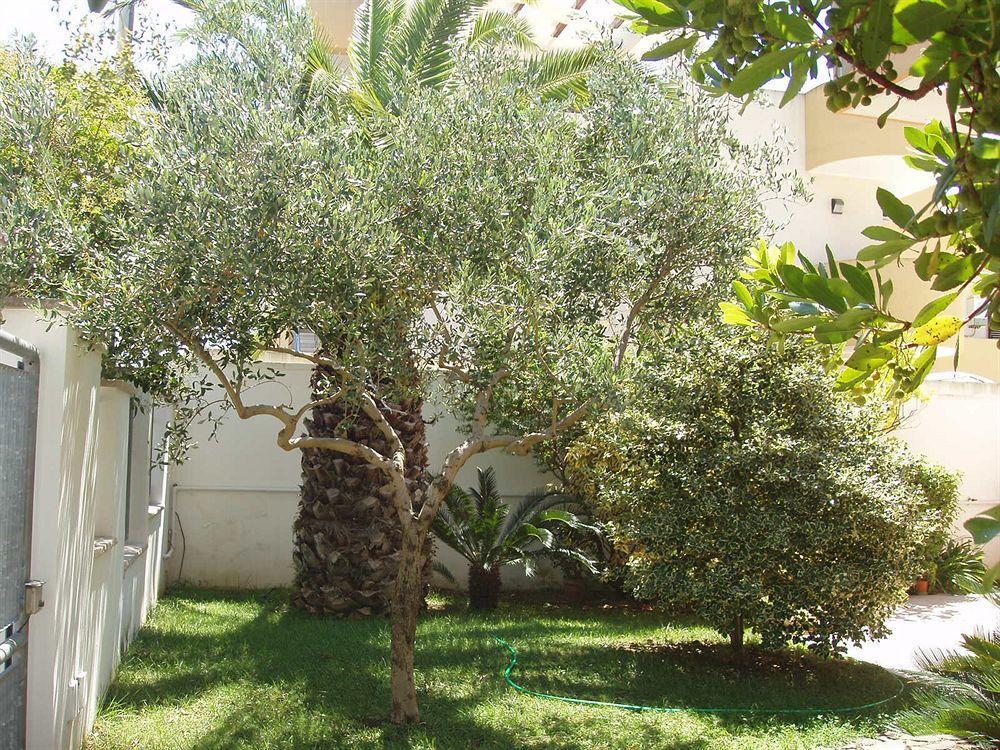 לינה וארוחת בוקר סורבו Residenza Del Sole מראה חיצוני תמונה